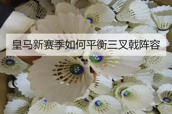 img_1780930315191_103_1_456.jpg