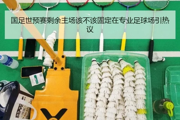 国足世预赛剩余主场该不该固定在专业足球场引热议