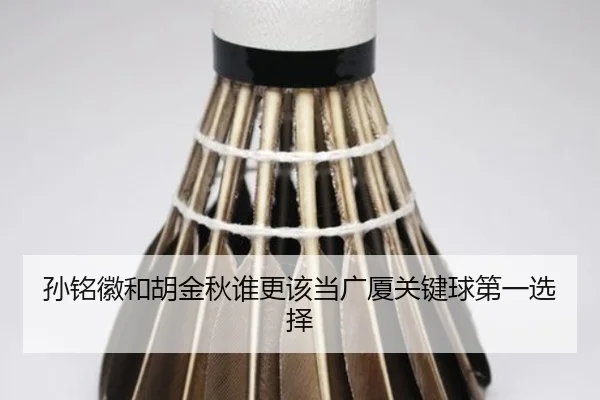 孙铭徽和胡金秋谁更该当广厦关键球第一选择