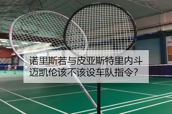 诺里斯若与皮亚斯特里内斗 迈凯伦该不该设车队指令？